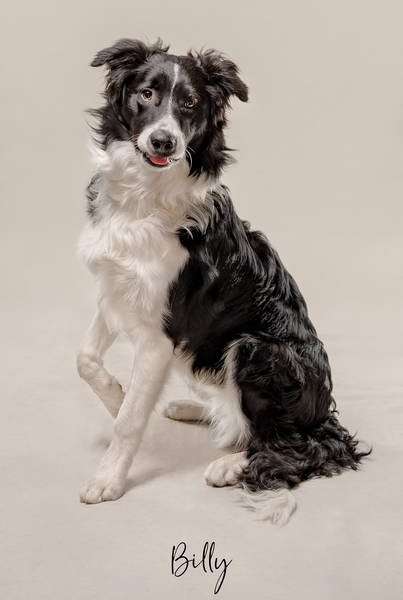 Albi Seiko OK Z63 7957 FINAL