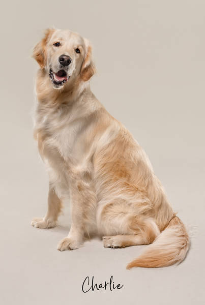 Charlie ok A7407350 FINAL