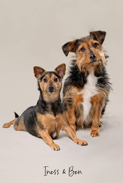 Iness Ben OK A7406988 FINAL