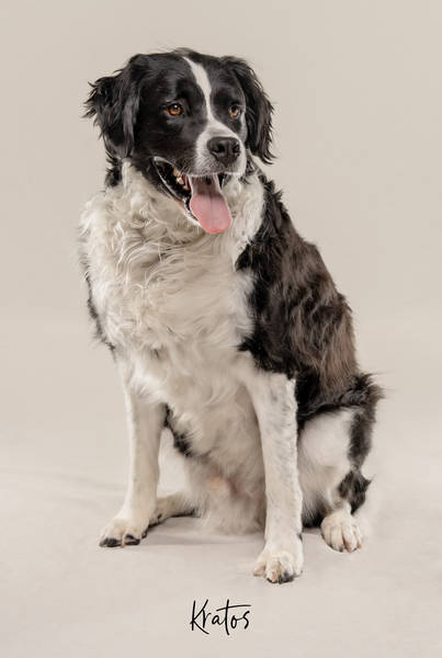 Kratos OKA7406556 FINAL