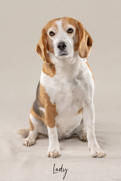 Lady ok A7407437 FINAL