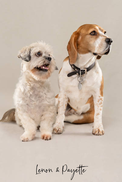 Lenon Payette OK1 A7407206 FINAL