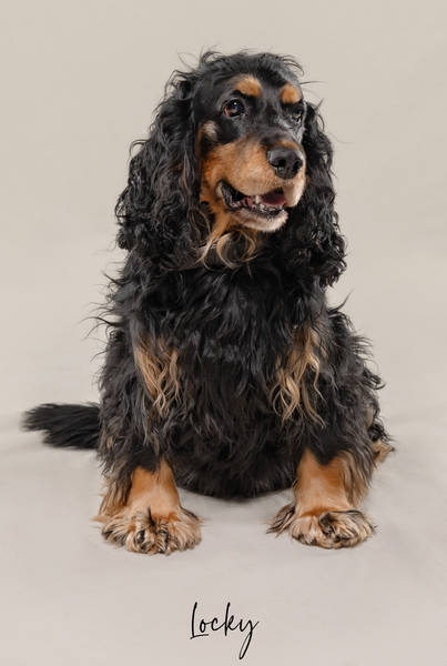 Locky ok A7407659 FINAL