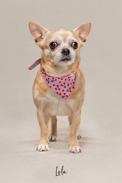 Lola ok A7408063 FINAL