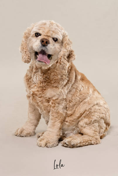 Lola ok A7408206 FINAL