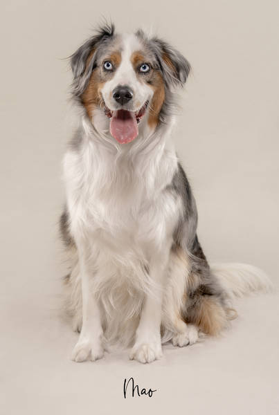 Mao OK A7406827 FINAL