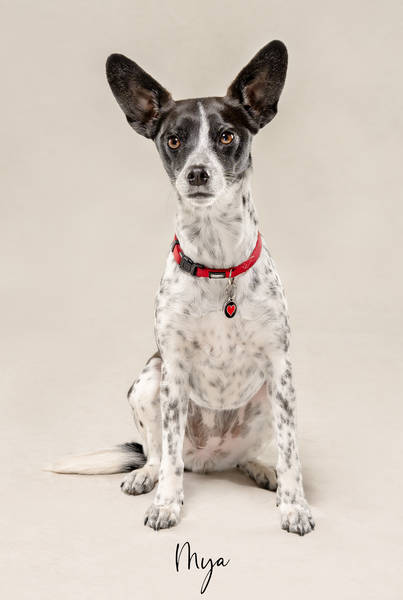 Mya ok A7407094 FINAL