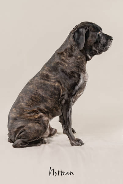 Norman ok A7408006 FINAL