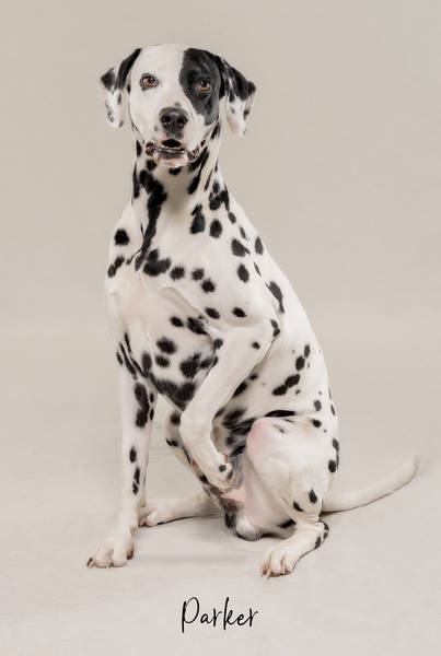 Parker OK A7406458 FINAL