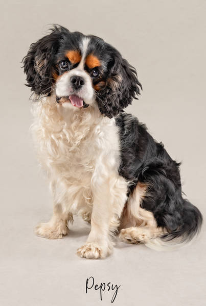 Pepsy OK1 A7407934 FINAL