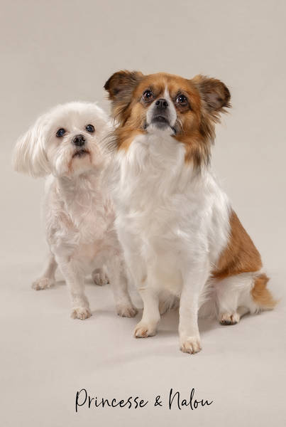 Princesse et Nalou Z63 7788 FINAL