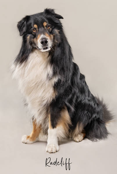 Radcliff ok A7407886 FINAL