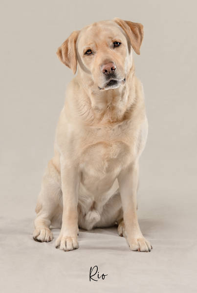 Rio ok A7408045 FINAL