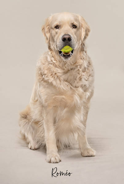 Roméo ok A7406867 FINAL