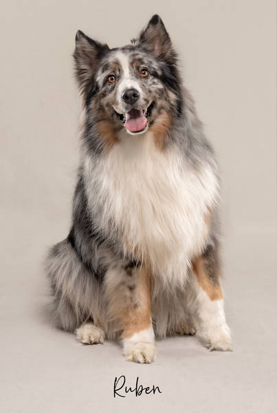 Ruben OK1 A7406474 FINAL