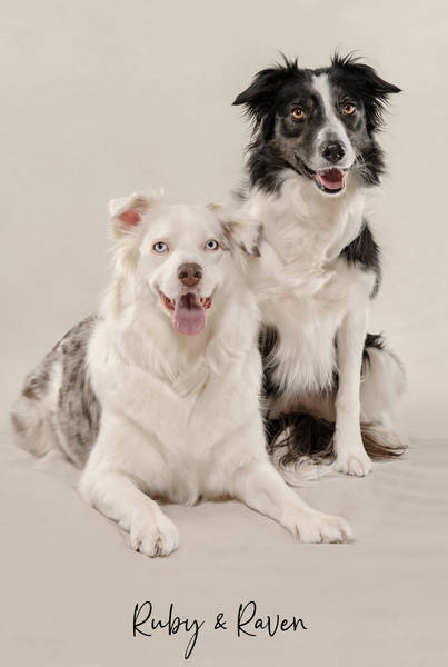 Ruby Raven ok A7408129 FINAL