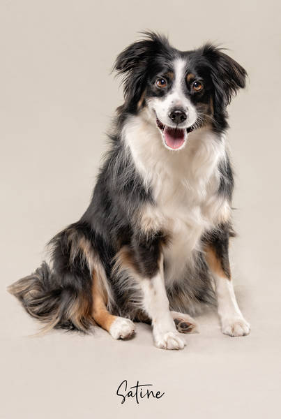 Satine Ok A7407334 FINAL