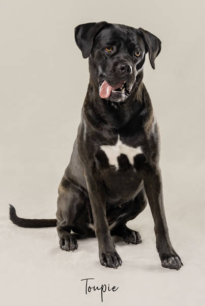 Toupie ok A7407409 FINALok