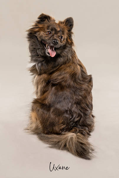 Uxane OK A7406519 FINAL