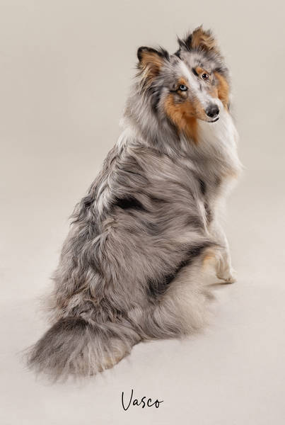 Vasco OK1 A7406574 FINAL