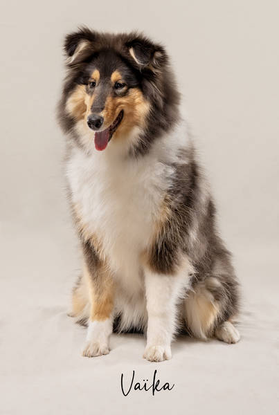 Vaïka ok A7406757R FINAL2