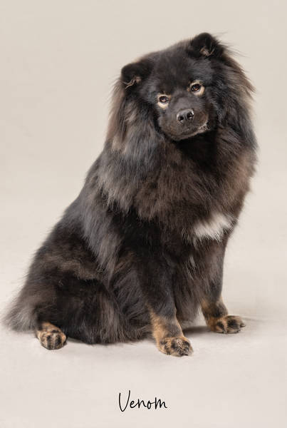 Venom ok A7406965 FINAL