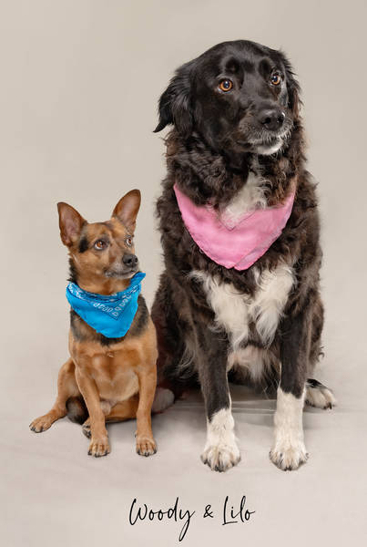 Woody Lilo ok A7408244 FINALok