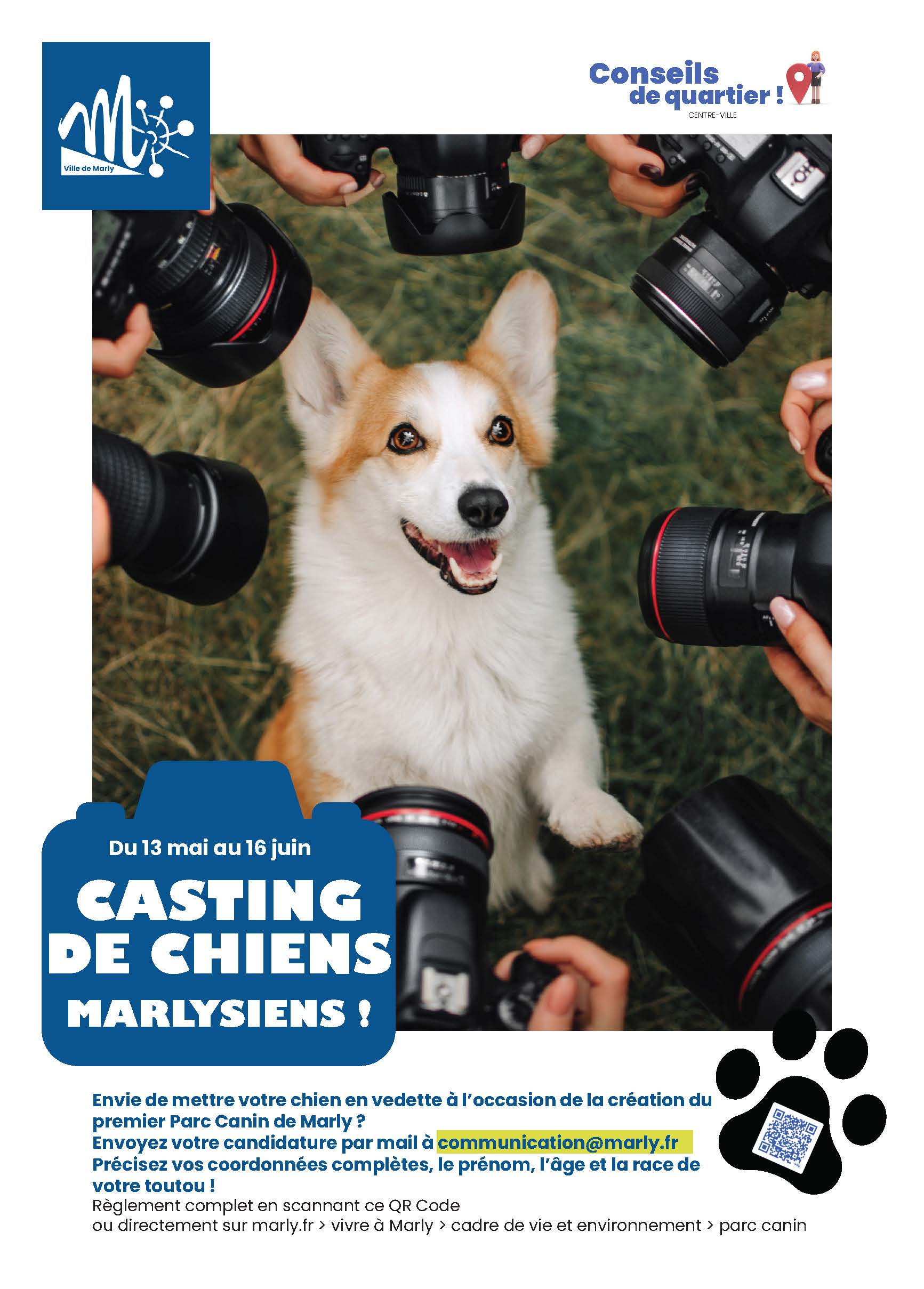 Casting de chiens marlysiens